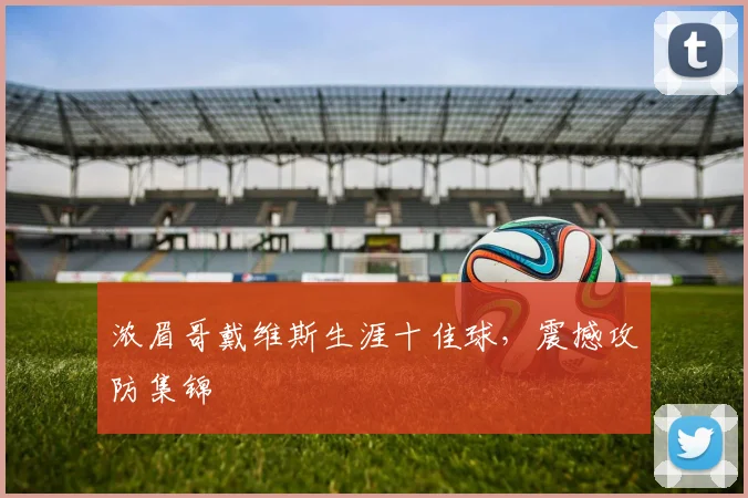 浓眉哥戴维斯生涯十佳球,震撼攻防集锦